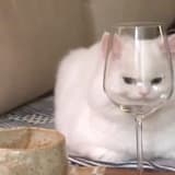 塵埃