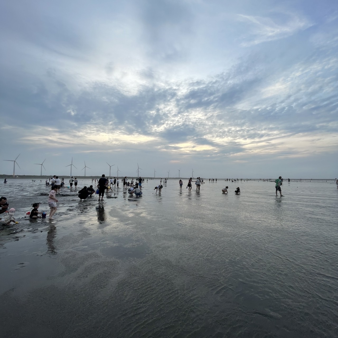 國內遊記 高美濕地半日遊～
