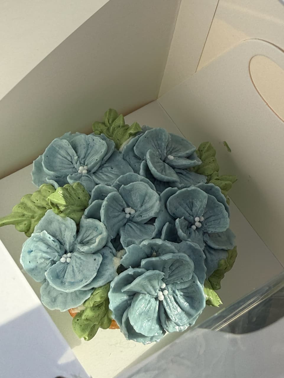 megapx