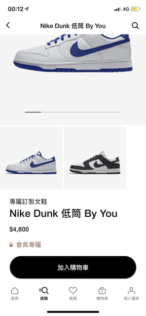 nike dunk by you dcard