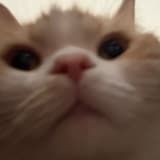 欸欸欸