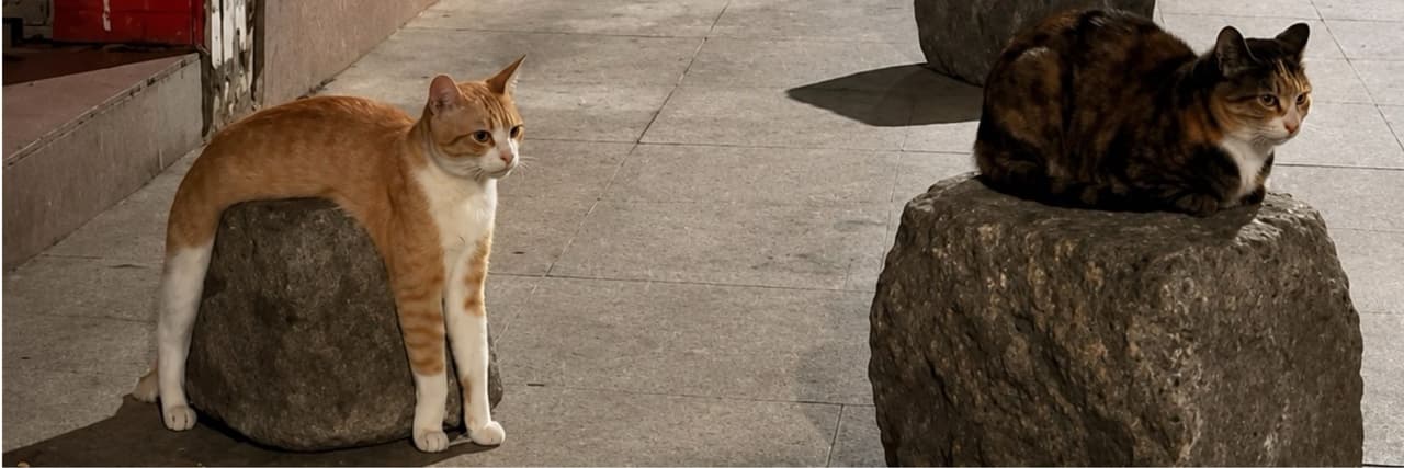 小欣路過