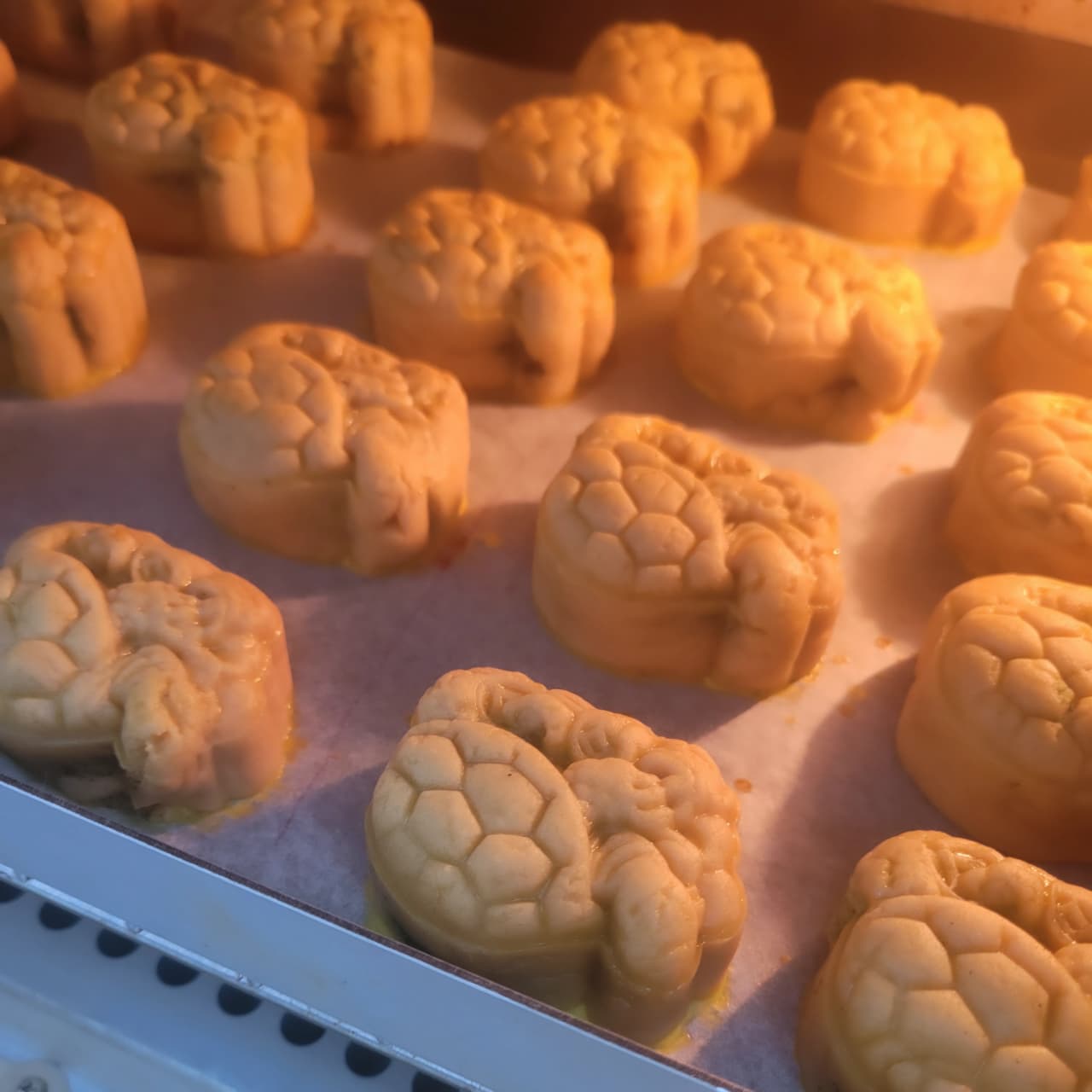 megapx