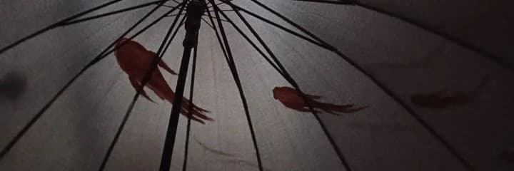 呷近攏剖晚