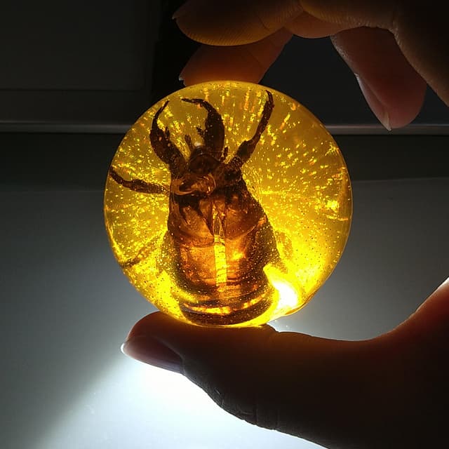 環氧樹脂×封埋標本② ⚠️內有昆蟲⚠️ - 手作板| Dcard