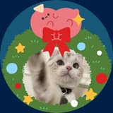 快樂小狗🐶