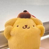 yo0000yo
