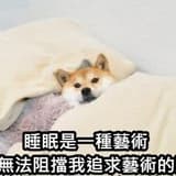 xuan1314