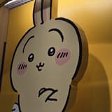 1999戰士之子