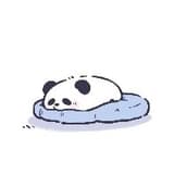 tuan_0257