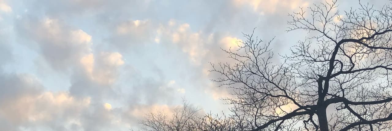 ☁️芸朵糖🍬