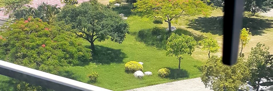吐司阿泥🍞🐑