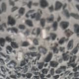 a5595390