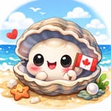 加拿大的小牡蠣🦪