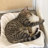 (๑•̀ω•́๑)