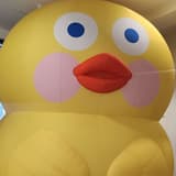 卡稱=屁股？！