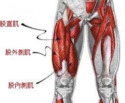 #問 重訓肌肉麻痺 - 健身板 | Dcard