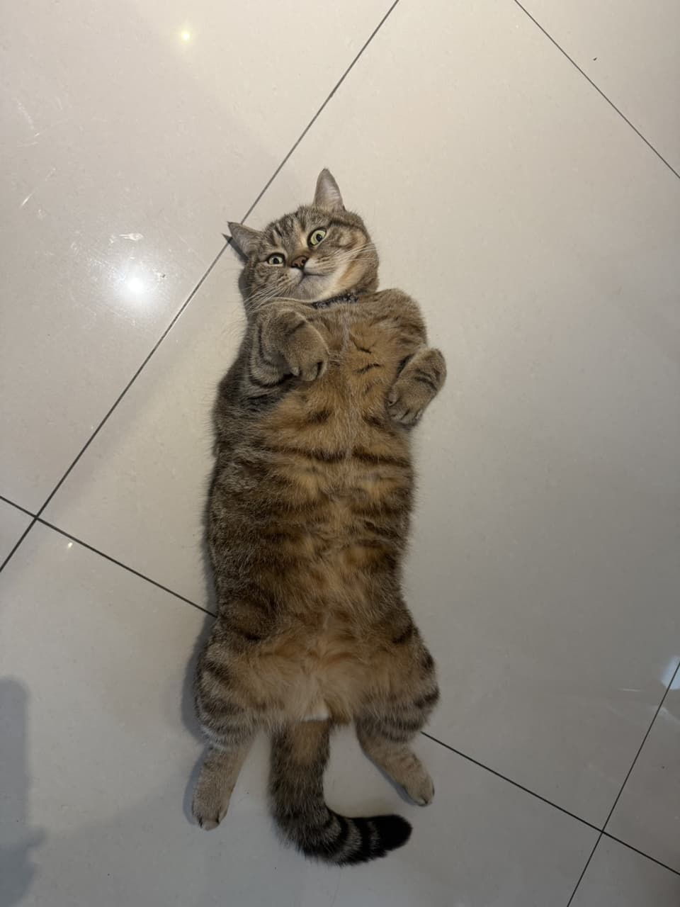 megapx