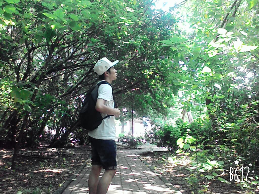 megapx