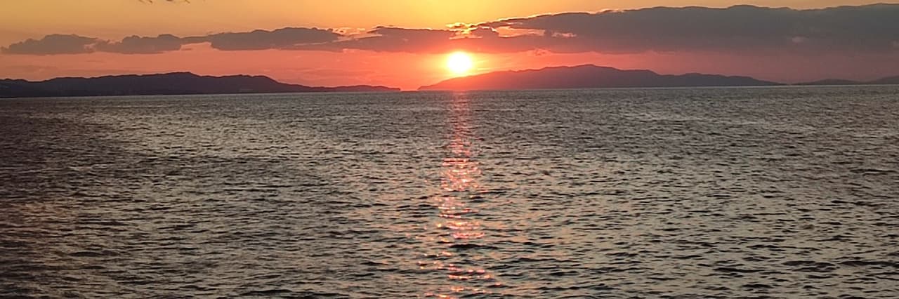 網友W