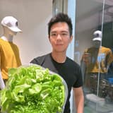 落野星辰