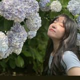 香草菲菲