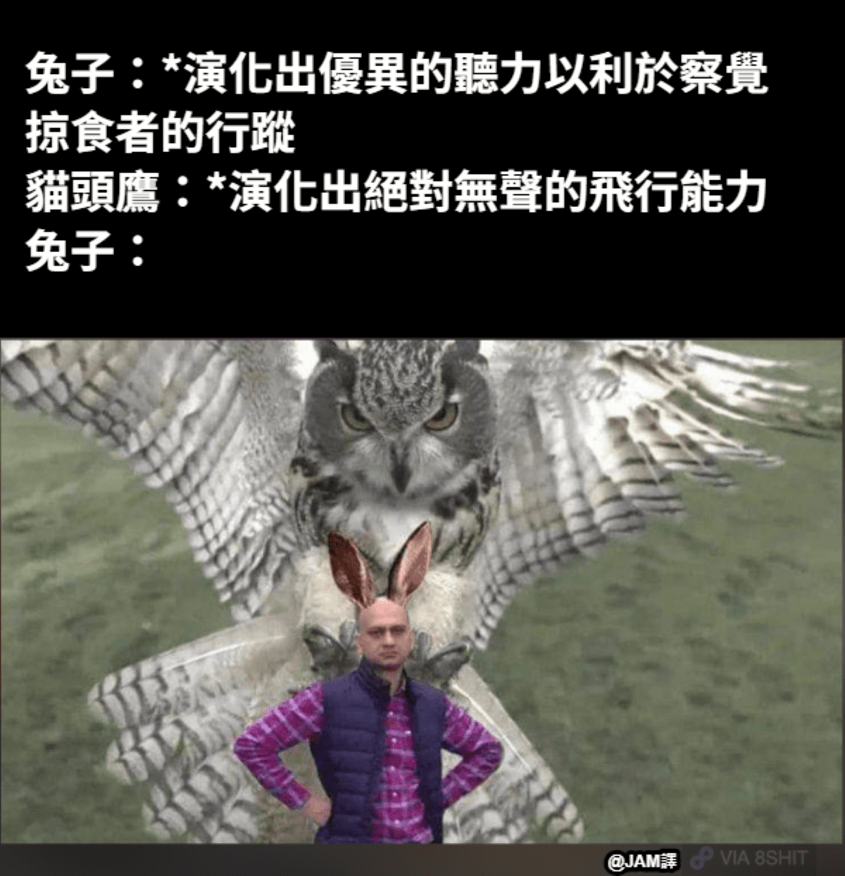 #翻譯 兔子：6 - 梗圖板 | Dcard