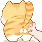 進來看一下吧！