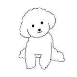 葉♡