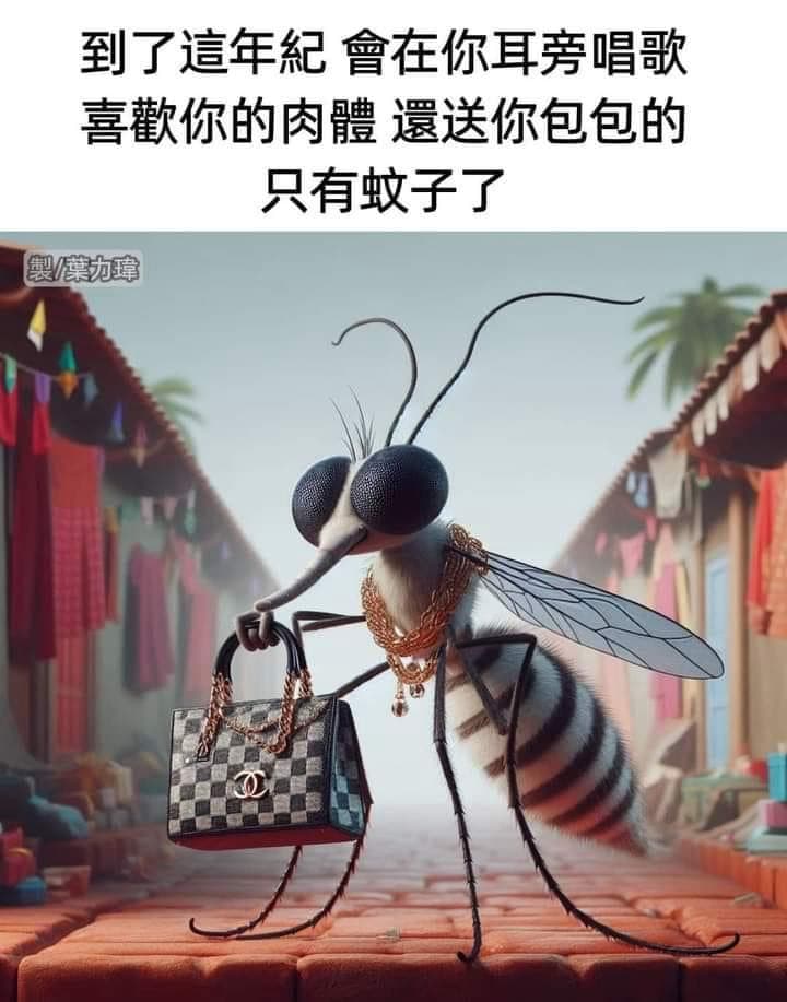 #轉發 雀食 - 梗圖板 | Dcard