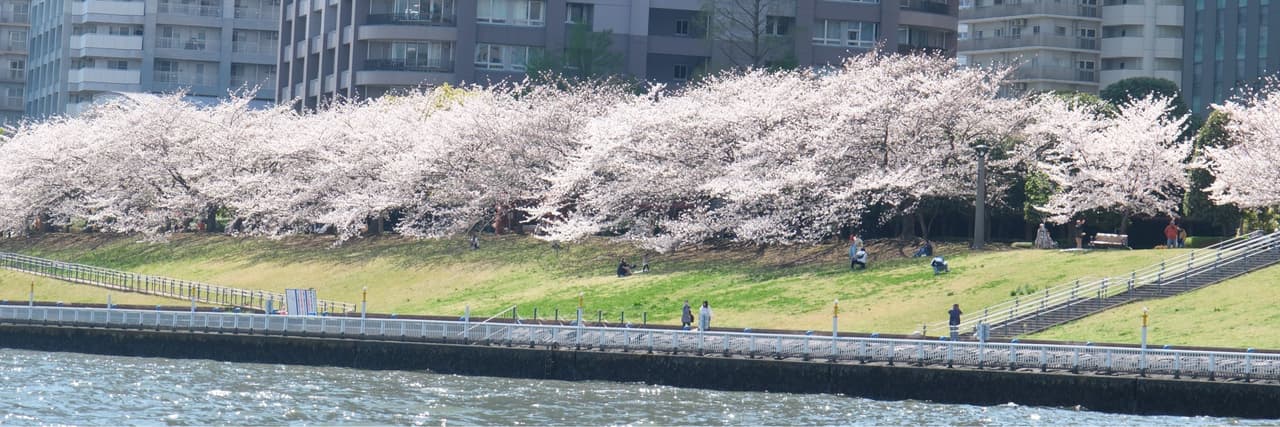 請用冰開水
