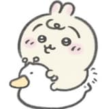5公斤招財肥貓ฅ•ω•ฅ