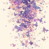 Fly