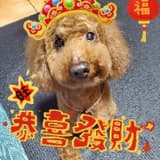 叮叮幣圈投資筆記