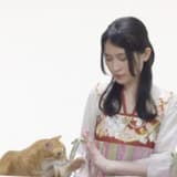 貓娘子 Cat Lady