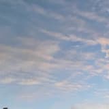朝陽科技大學