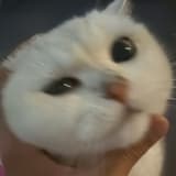 Xubbbb