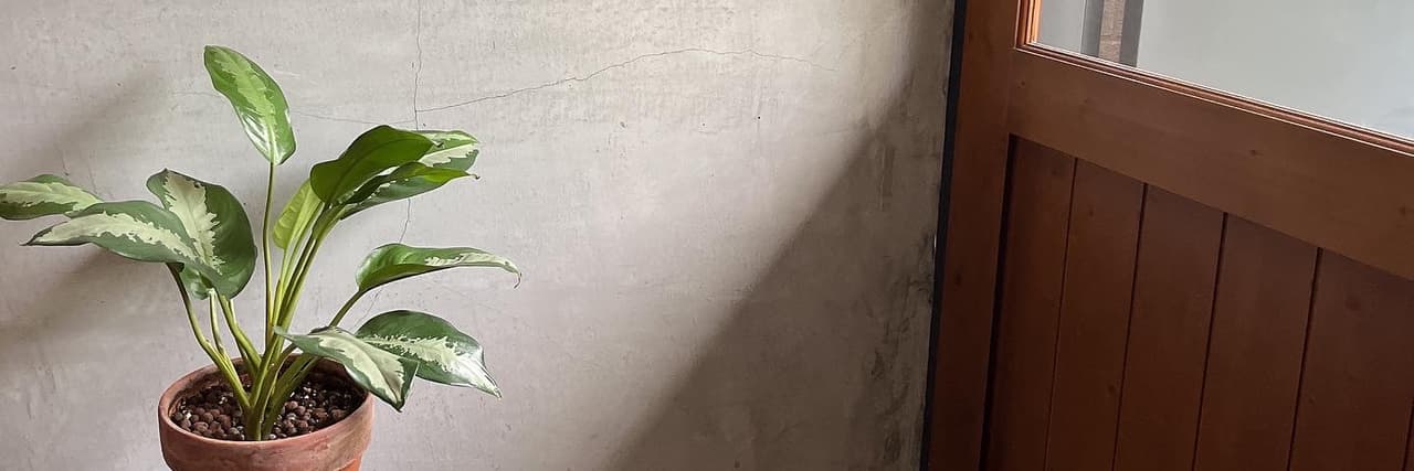 愛吃的魚🍥