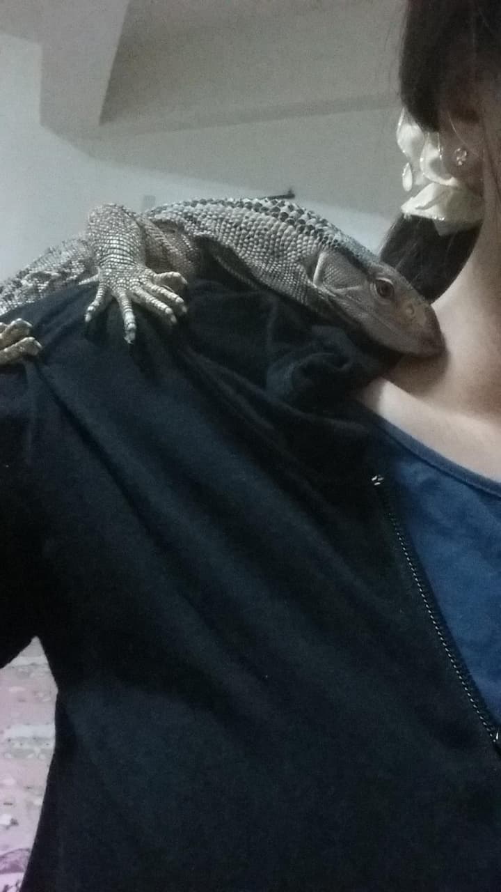 megapx