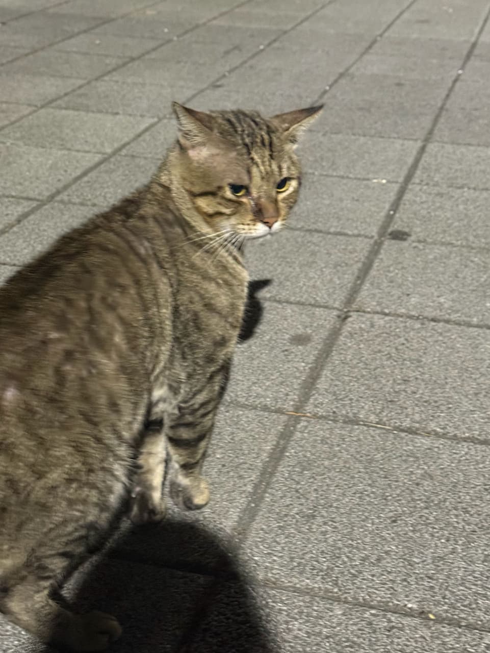 megapx