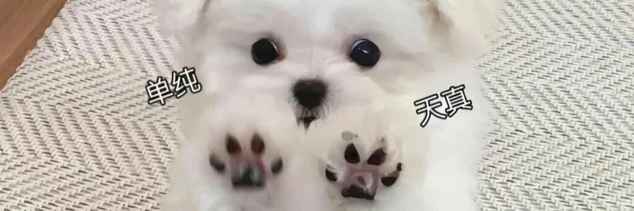 瓦羅蘭中最安靜的神話