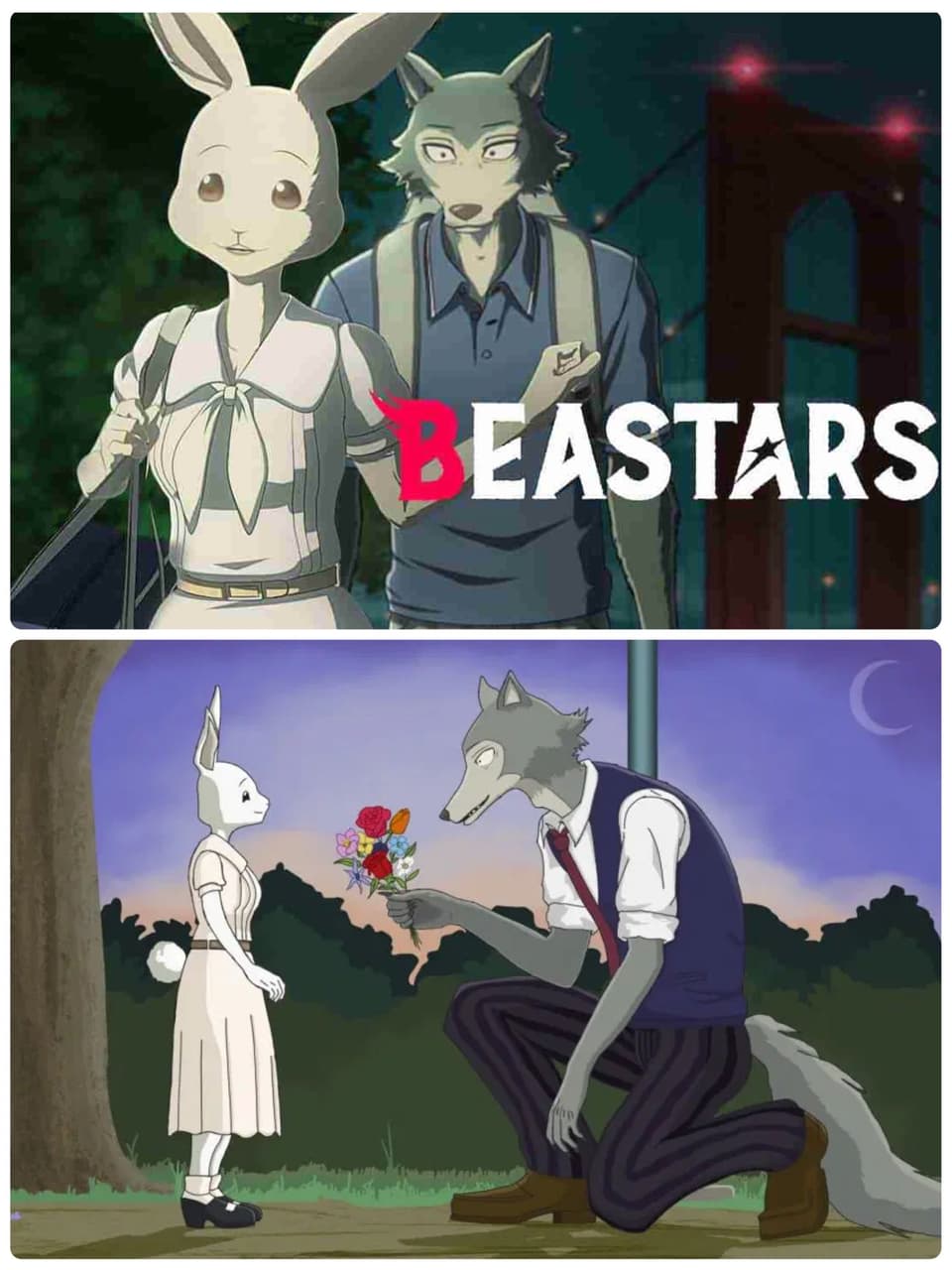 Beastars Dcard