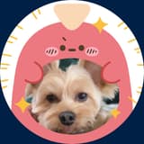 penny0531