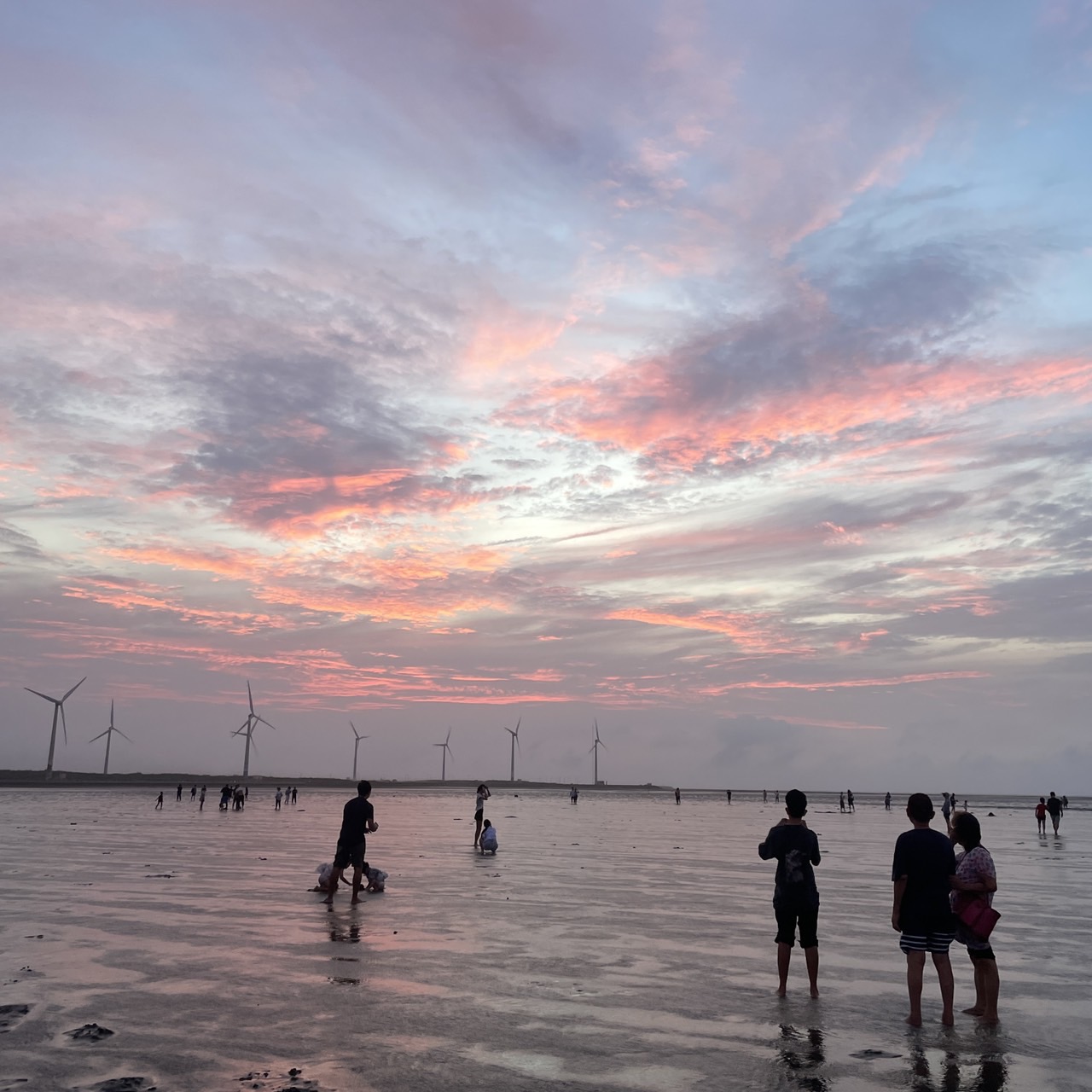 國內遊記 高美濕地半日遊～