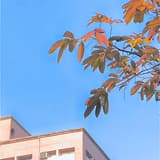 小陳