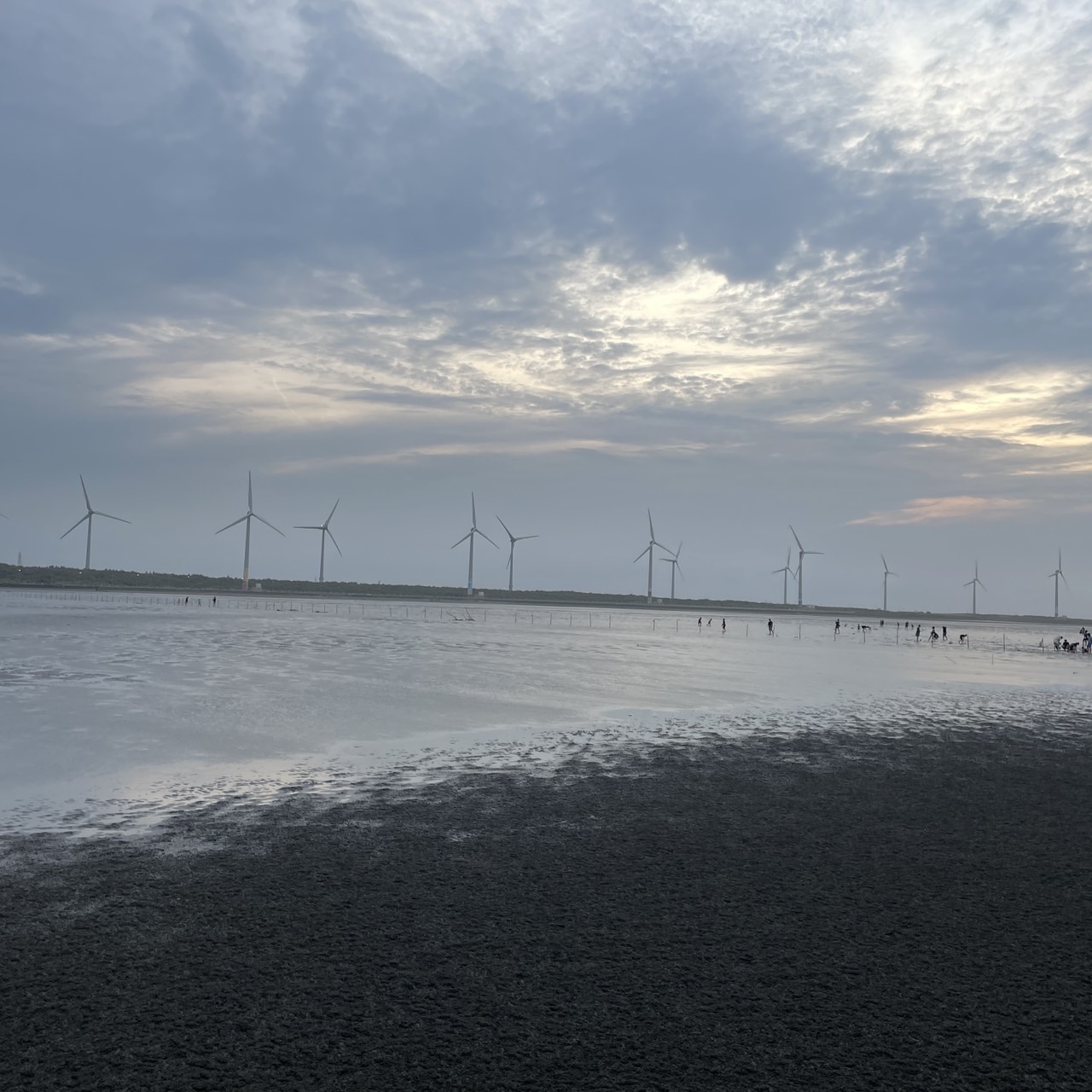 國內遊記 高美濕地半日遊～