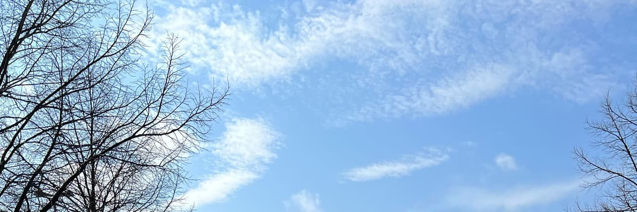 朝炸薯條前進的M
