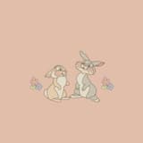 小太陽🐰