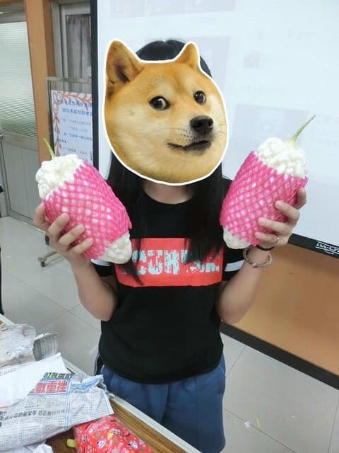 megapx