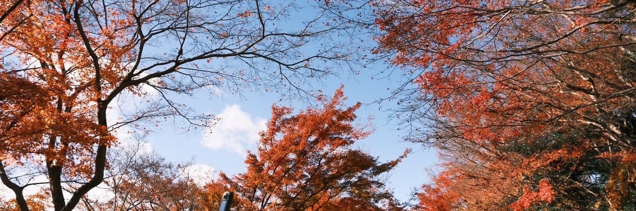花冷